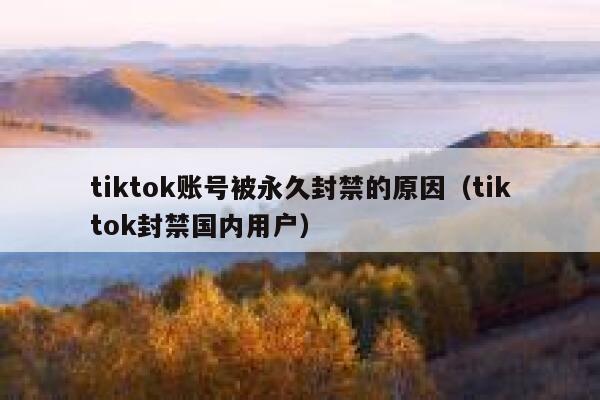 tiktok账号被永久封禁的原因（tiktok封禁国内用户） 第1张