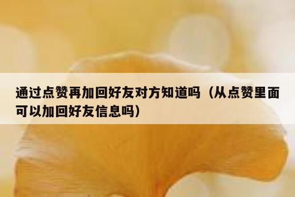 通过点赞再加回好友对方知道吗（从点赞里面可以加回好友信息吗） 第1张