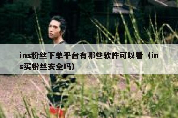 ins粉丝下单平台有哪些软件可以看（ins买粉丝安全吗） 第1张