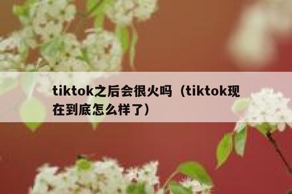 tiktok之后会很火吗(tiktok现在到底怎么样了) 第1张 tiktok之后会很火吗(tiktok现在到底怎么样了) 第1张