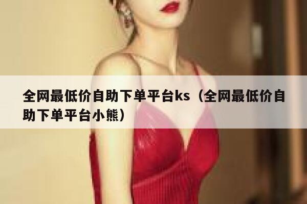 全网最低价自助下单平台ks（全网最低价自助下单平台小熊） 第1张