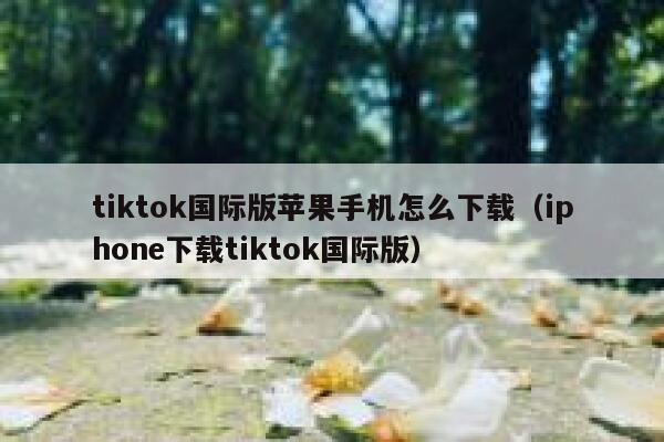 tiktok国际版苹果手机怎么下载（iphone下载tiktok国际版） 第1张