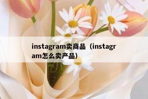 instagram卖商品(instagram怎么卖产品) 第1张 instagram卖商品(instagram怎么卖产品) 第1张