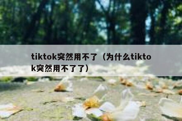 tiktok突然用不了（为什么tiktok突然用不了了） 第1张