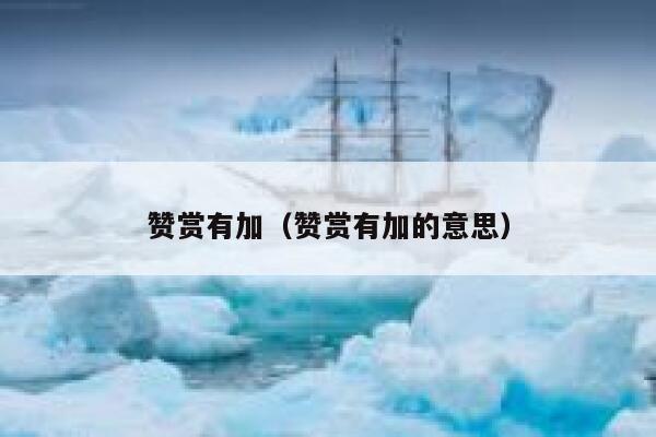 赞赏有加（赞赏有加的意思） 第1张