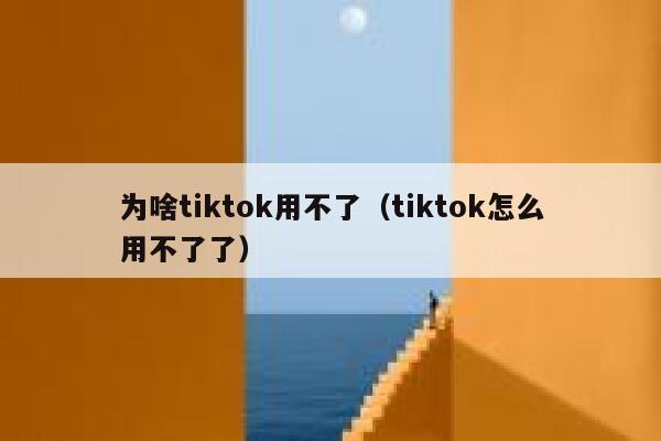 为啥tiktok用不了（tiktok怎么用不了了） 第1张
