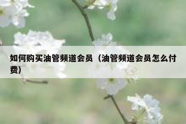 如何购买油管频道会员（油管频道会员怎么付费） 第1张