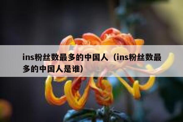 ins粉丝数最多的中国人（ins粉丝数最多的中国人是谁） 第1张