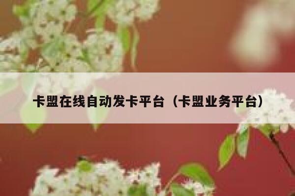 卡盟在线自动发卡平台（卡盟业务平台） 第1张