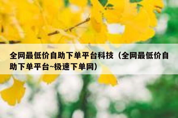 全网最低价自助下单平台科技（全网最低价自助下单平台~极速下单网） 第1张