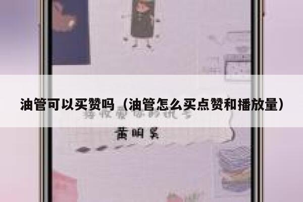 油管可以买赞吗（油管怎么买点赞和播放量） 第1张