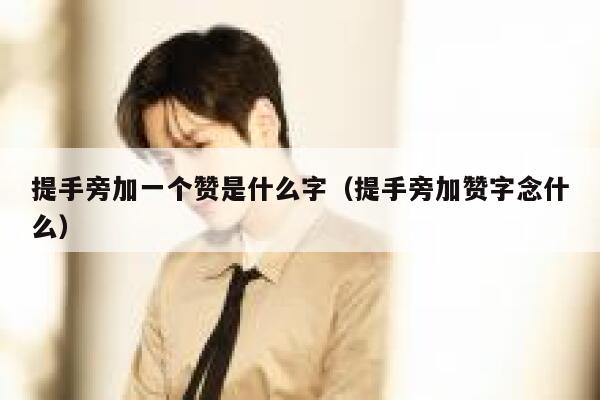提手旁加一个赞是什么字（提手旁加赞字念什么） 第1张