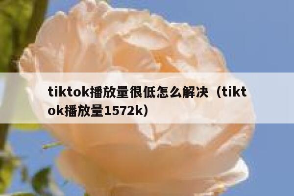 tiktok播放量很低怎么解决（tiktok播放量1572k） 第1张