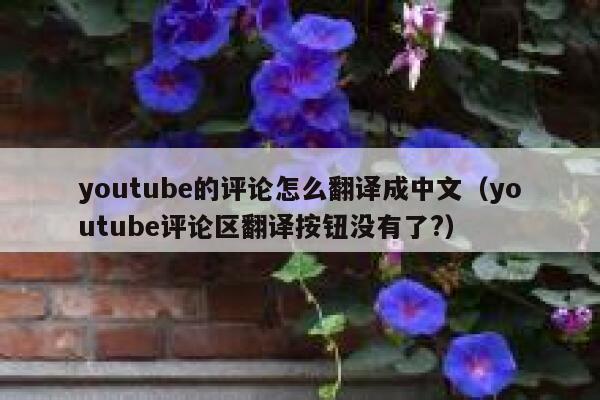 youtube的评论怎么翻译成中文(youtube评论区翻译按钮没有了?) 第1张 youtube的评论怎么翻译成中文(youtube评论区翻译按钮没有了?) 第1张
