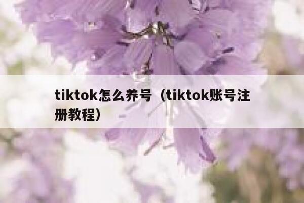 tiktok怎么养号（tiktok账号注册教程） 第1张