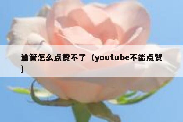 油管怎么点赞不了（youtube不能点赞） 第1张