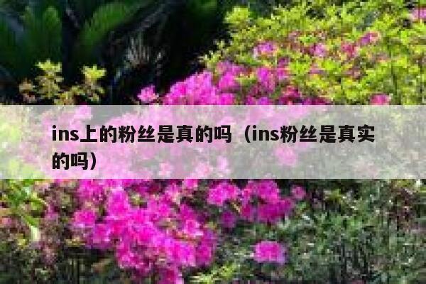 ins上的粉丝是真的吗（ins粉丝是真实的吗） 第1张