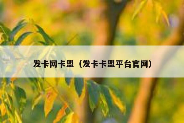 发卡网卡盟（发卡卡盟平台官网） 第1张