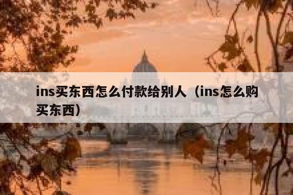 ins买东西怎么付款给别人（ins怎么购买东西） 第1张