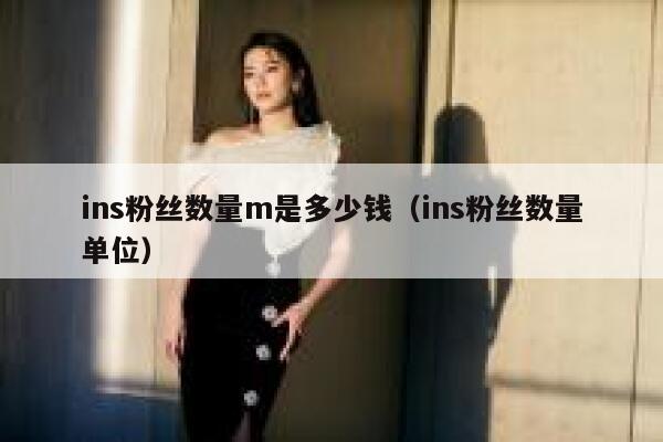 ins粉丝数量m是多少钱(ins粉丝数量单位) 第1张 ins粉丝数量m是多少钱(ins粉丝数量单位) 第1张