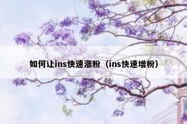 如何让ins快速涨粉（ins快速增粉） 第1张