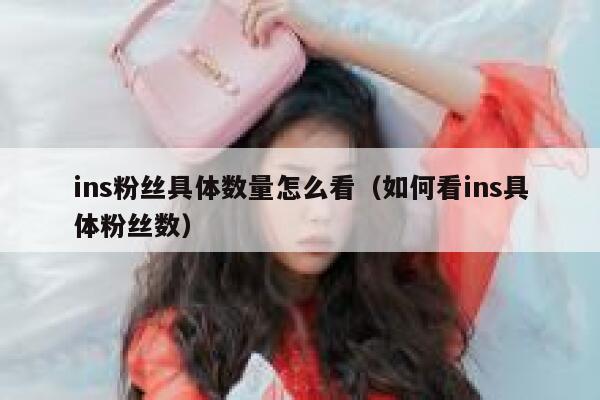 ins粉丝具体数量怎么看（如何看ins具体粉丝数） 第1张