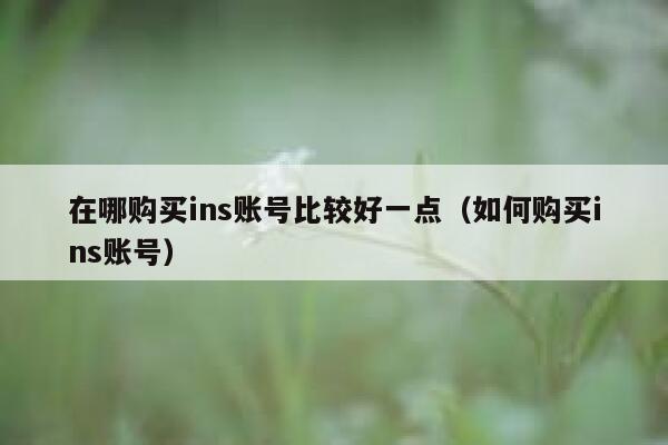 在哪购买ins账号比较好一点（如何购买ins账号） 第1张