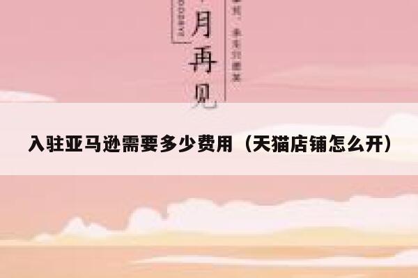 入驻亚马逊需要多少费用（天猫店铺怎么开） 第1张