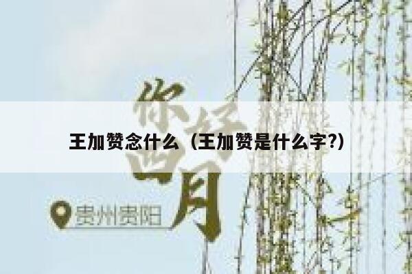 王加赞念什么（王加赞是什么字?） 第1张