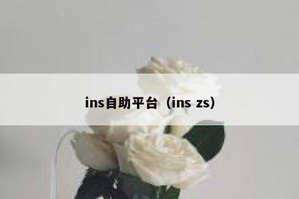 ins自助平台(ins zs) 第1张 ins自助平台(ins zs) 第1张