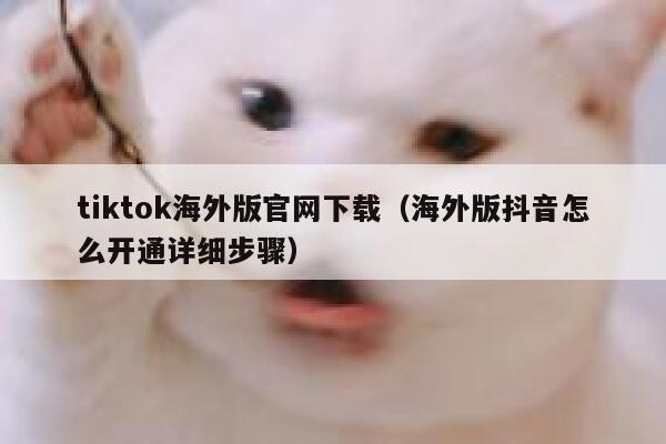 tiktok海外版官网下载（海外版抖音怎么开通详细步骤） 第1张