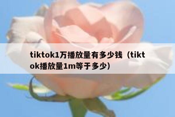 tiktok1万播放量有多少钱（tiktok播放量1m等于多少） 第1张