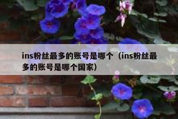 ins粉丝最多的账号是哪个（ins粉丝最多的账号是哪个国家） 第1张