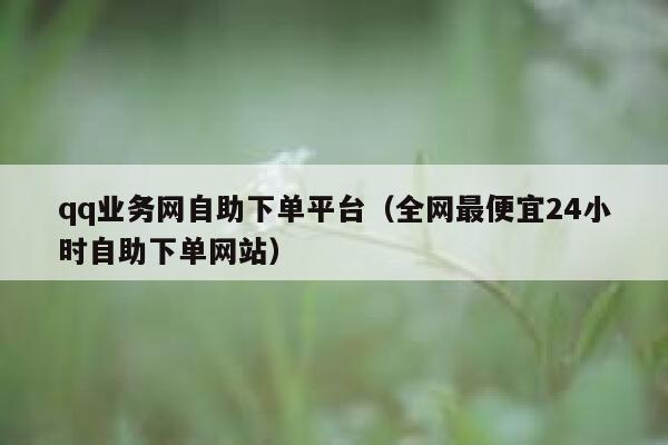 qq业务网自助下单平台（全网最便宜24小时自助下单网站） 第1张
