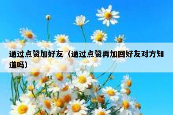通过点赞加好友（通过点赞再加回好友对方知道吗） 第1张