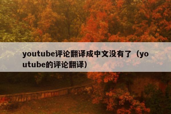 youtube评论翻译成中文没有了（youtube的评论翻译） 第1张