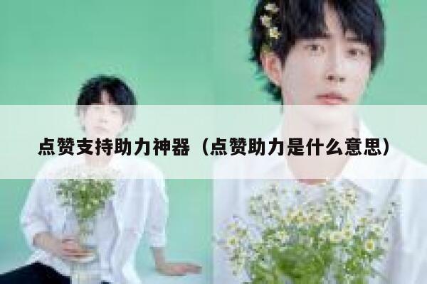 点赞支持助力神器（点赞助力是什么意思） 第1张