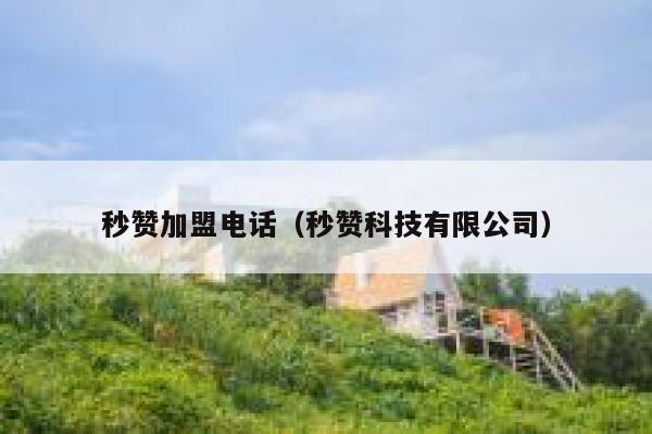 秒赞加盟电话（秒赞科技有限公司） 第1张