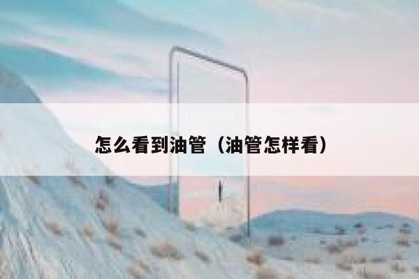 怎么看到油管（油管怎样看） 第1张