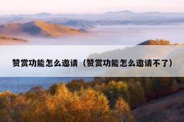 赞赏功能怎么邀请（赞赏功能怎么邀请不了） 第1张