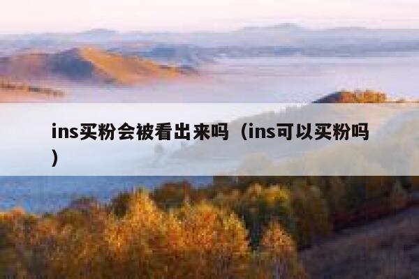 ins买粉会被看出来吗(ins可以买粉吗) 第1张 ins买粉会被看出来吗(ins可以买粉吗) 第1张