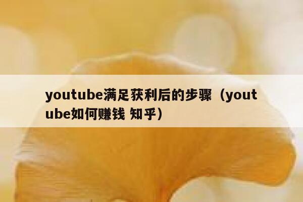 youtube满足获利后的步骤(youtube如何赚钱 知乎) 第1张 youtube满足获利后的步骤(youtube如何赚钱 知乎) 第1张