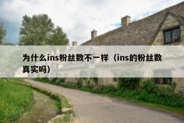 为什么ins粉丝数不一样(ins的粉丝数真实吗) 第1张 为什么ins粉丝数不一样(ins的粉丝数真实吗) 第1张