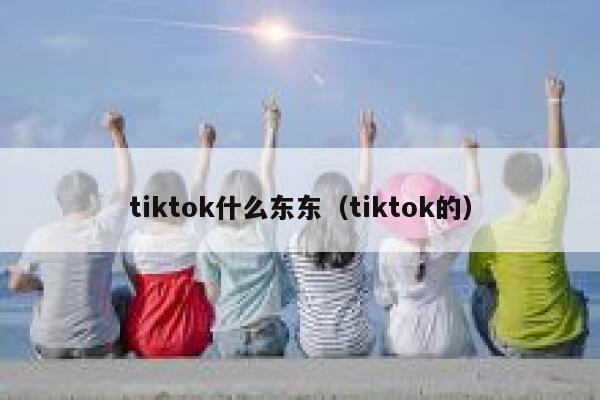 tiktok什么东东(tiktok的) 第1张 tiktok什么东东(tiktok的) 第1张