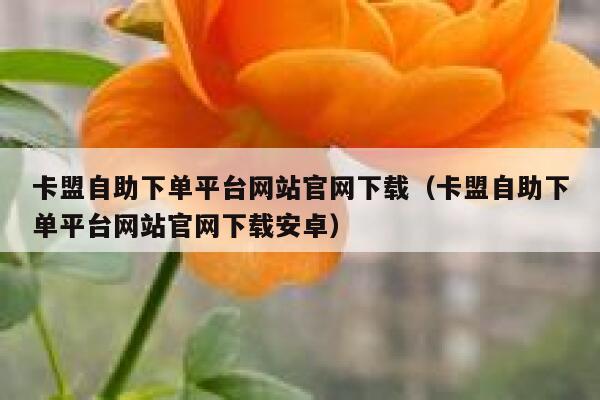 卡盟自助下单平台网站官网下载(卡盟自助下单平台网站官网下载安卓) 第1张 卡盟自助下单平台网站官网下载(卡盟自助下单平台网站官网下载安卓) 第1张