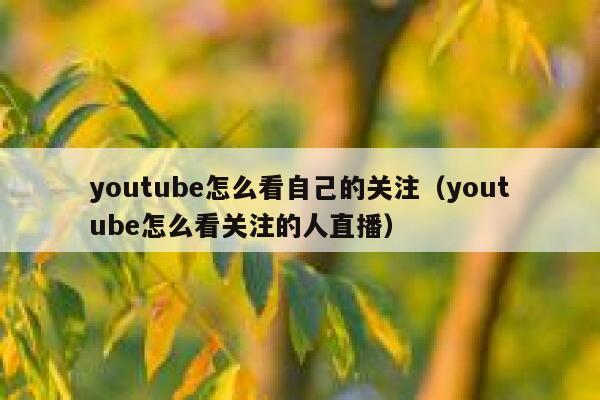youtube怎么看自己的关注（youtube怎么看关注的人直播） 第1张