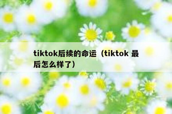 tiktok后续的命运（tiktok 最后怎么样了） 第1张