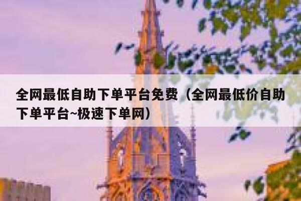 全网最低自助下单平台免费（全网最低价自助下单平台~极速下单网） 第1张