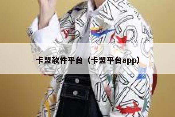 卡盟软件平台（卡盟平台app） 第1张