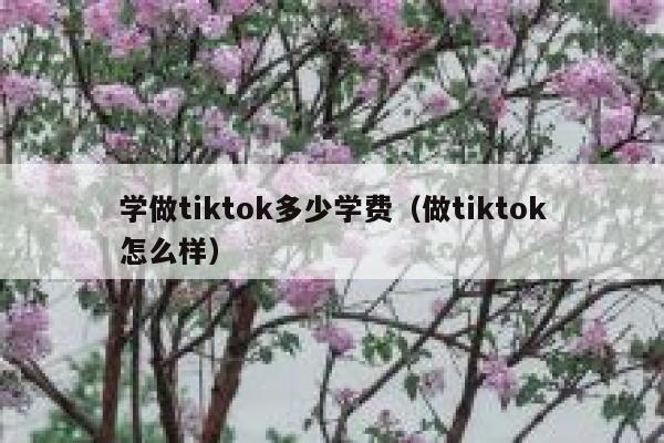 学做tiktok多少学费（做tiktok怎么样） 第1张